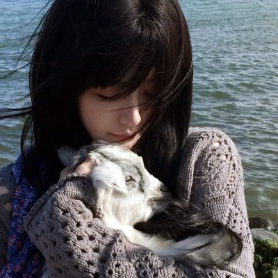 加菲猫的幸福生活第一季